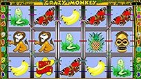 Crazy Monkey Crazy Monkey